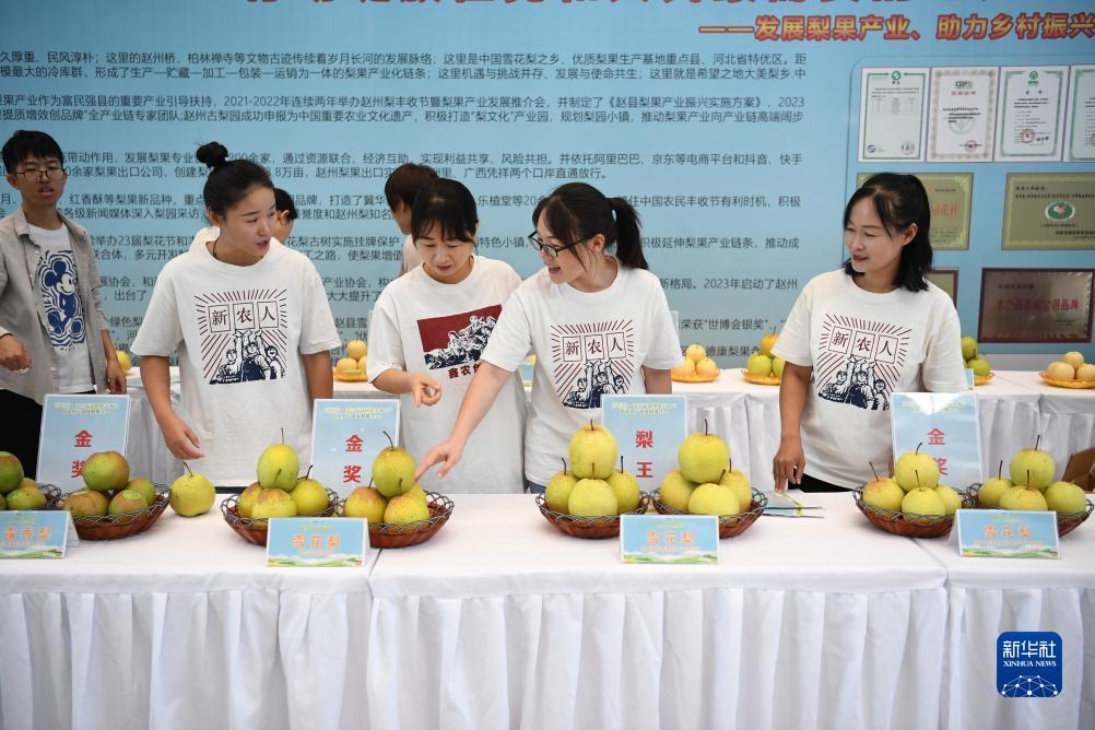 微乐斗地主电脑版下载安装包